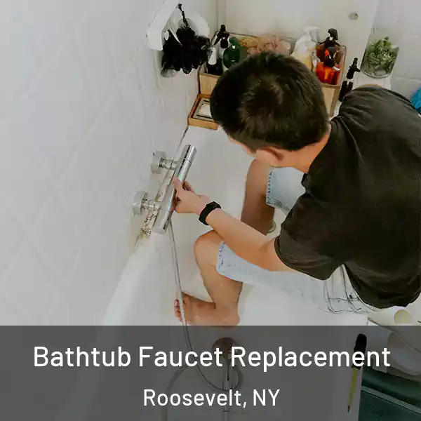  Bathtub Faucet Replacement Roosevelt, NY