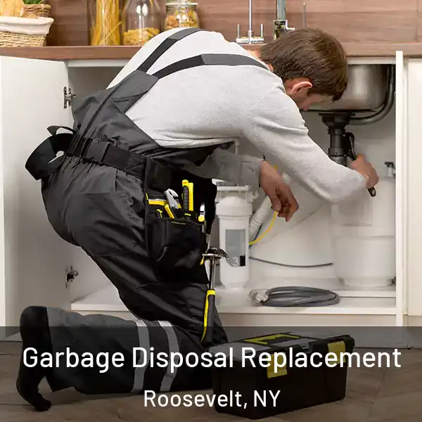  Garbage Disposal Replacement Roosevelt, NY