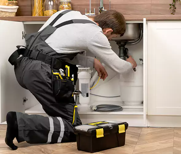 Certified Plumbers for Insinkerator Installation in Roosevelt