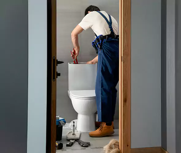Professional Plumbers for Toilet Bowl Replacement in Roosevelt, NY: Schedule Affordable Toilet Replacement Services With Us