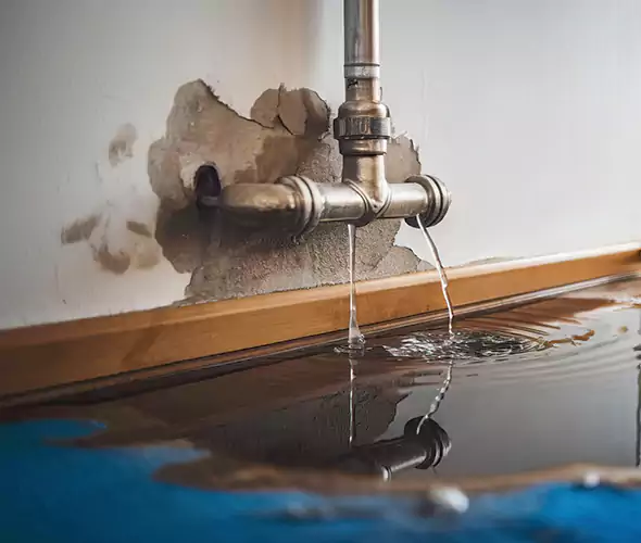 Professional Water Damage Restoration Experts in Roosevelt, NY — Fast, Reliable & Certified