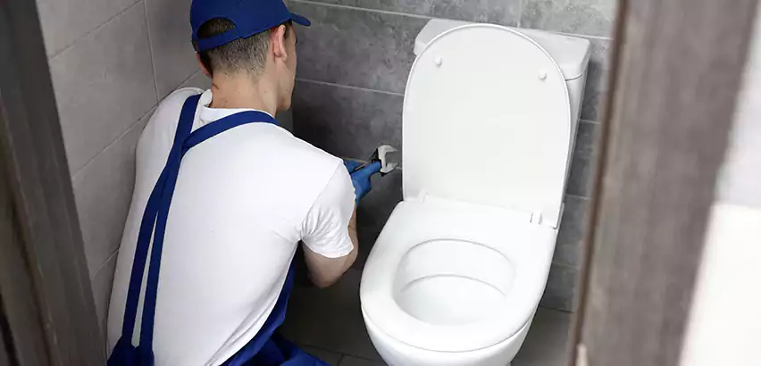 Toilet Lid Replacement in Roosevelt