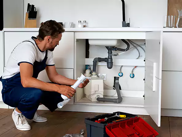 Why Choose Roosevelt Plumbing Pro for Insinkerator Installation in Roosevelt, NY?