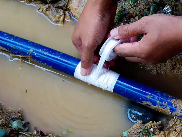  Why Choose Roosevelt Plumbing Pro for Leak Detection in Roosevelt, NY?]