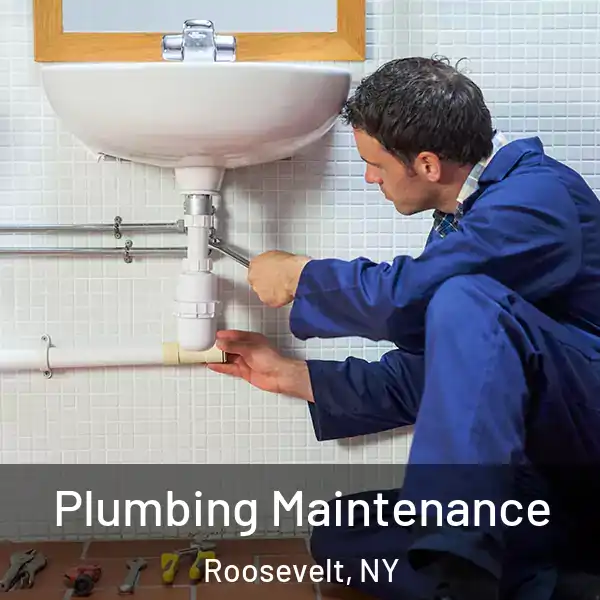  Plumbing Maintenance Roosevelt, NY