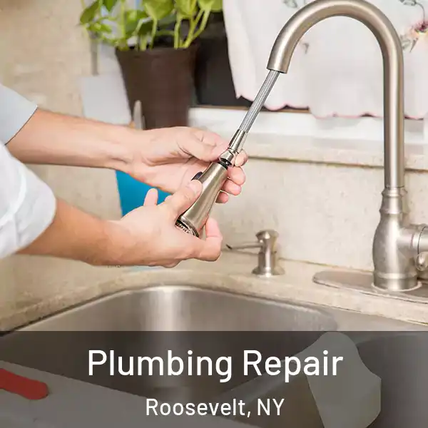  Plumbing Repair Roosevelt, NY