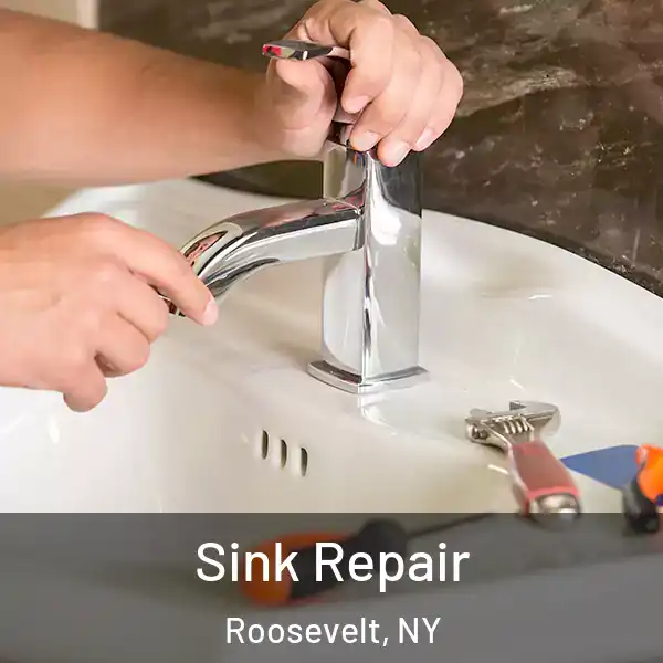  Sink Repair Roosevelt, NY