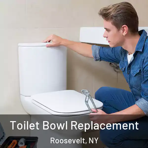  Toilet Bowl Replacement Roosevelt, NY